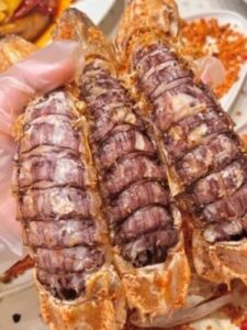 jumbo Mantis Shrimp Live Seafood Shipped with Oxygen Packs photo review